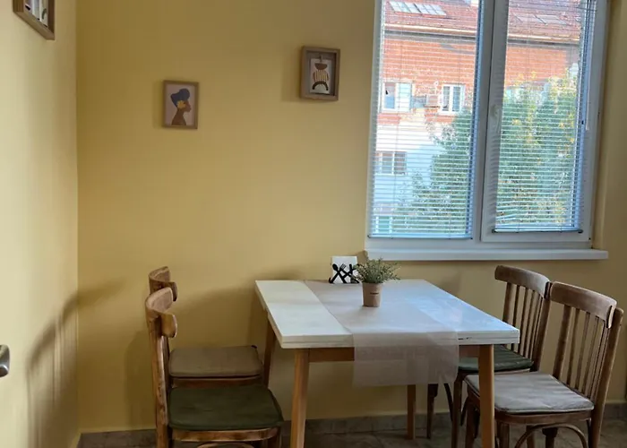 Cute And Cozy Flat Апартаменты София